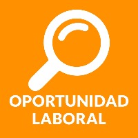 COORDINADOR/A DEL PROGRAMA PROTECCION Y MOVILIZACIÓN JUVENIL